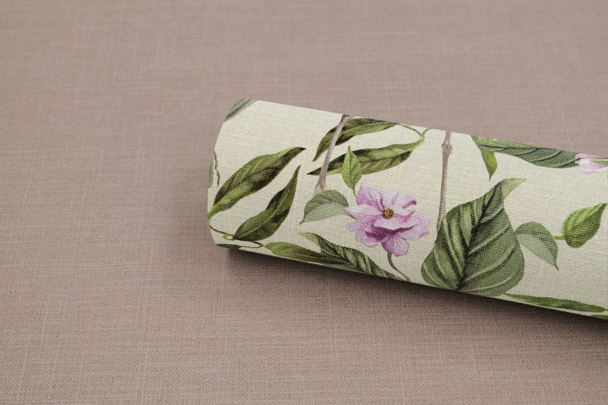 Новая коллекция Amazonika  от Erismann(Россия)