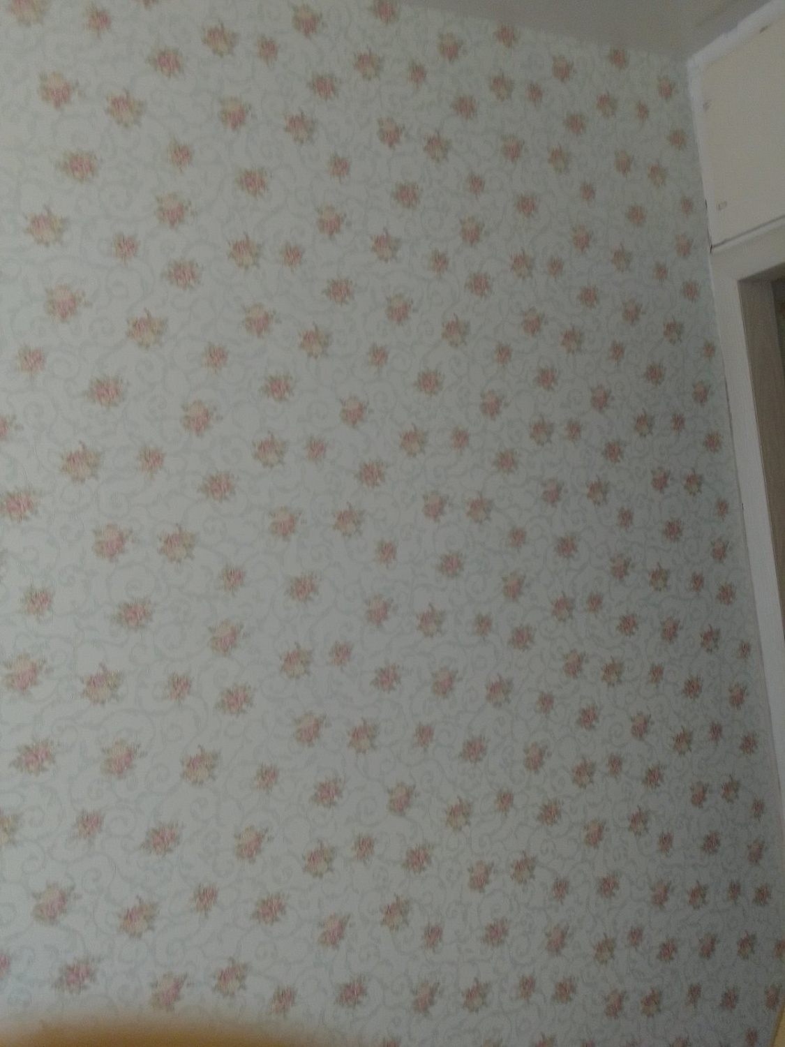 Проект по ремонту квартир ветеранов и узников фашистских концлагерей