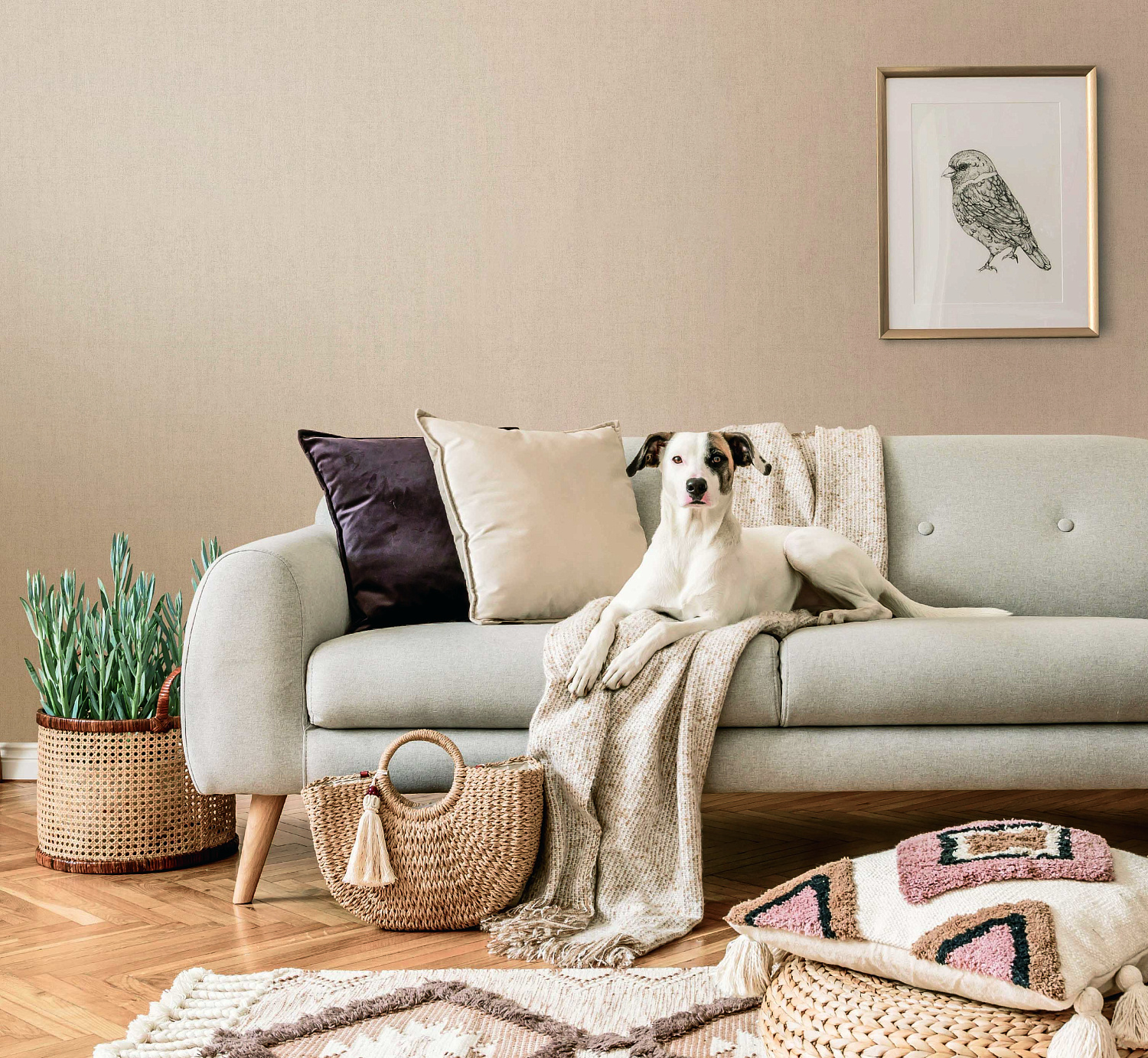 Коллекция Сахара от Артекс