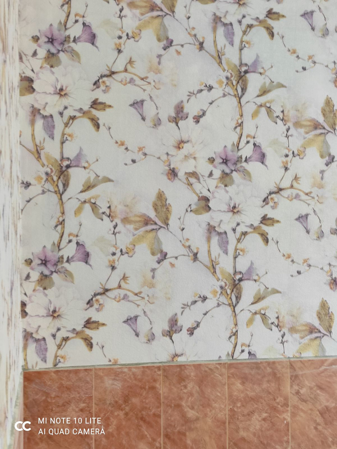 Проект по ремонту квартир ветеранов и узников фашистских концлагерей